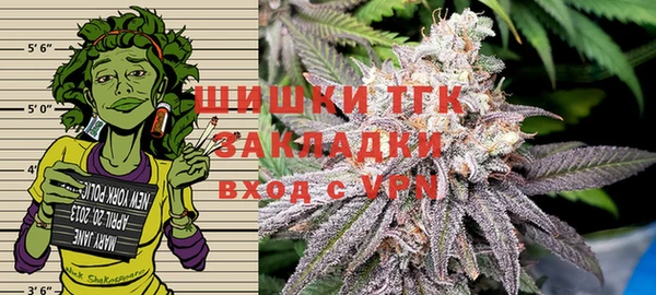 спиды Алзамай